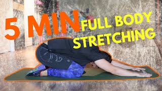 5 Dakikada Esnetme Hareketleri  5 Minute Full Body Stretching Routine [upl. by Callida]