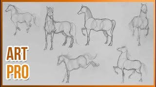 How to draw HORSES step by step 🐎 METHOD [upl. by Brit]