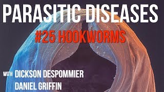 Parasitic Diseases Lectures 25 Hookworms [upl. by Templas]