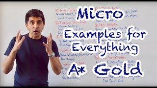 Micro Examples for Literally Everything Pure A Gold [upl. by Ssitnerp]