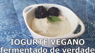 Como fazer iogurte vegano [upl. by Narhem969]