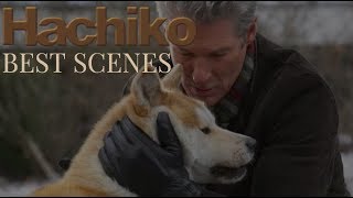 Hachi A Dogs Tale  Film Clip  In UK Cinema March 12th [upl. by Chang]