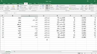 7 Excel making Filter طريقة عمل فلترة وتصفيه للبيانات فى الاكسل [upl. by Hanoy898]