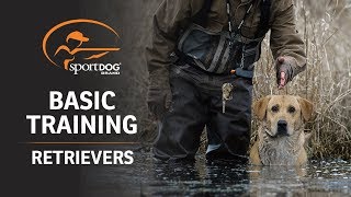 Basic Training  Retrievers [upl. by Amor]