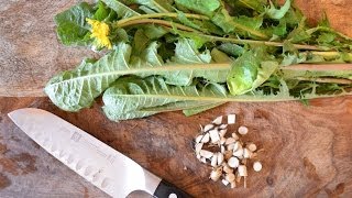 How to harvest prepare and use dandelion leaf and root for beauty and health [upl. by Yentihw230]