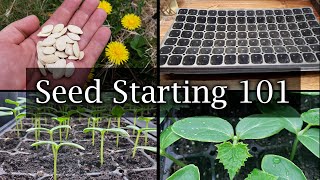 How To Start Vegetable Seeds  The Definitive Guide For Beginners [upl. by Quintana609]