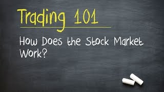 Trading 101 How Does the Stock Market Work [upl. by Vani159]