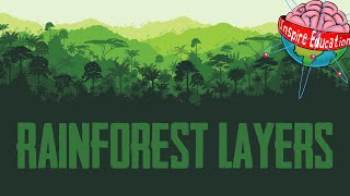 The 4 Layers of the Rainforest [upl. by Rosina]