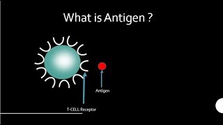 Antigens [upl. by Nylorahs]