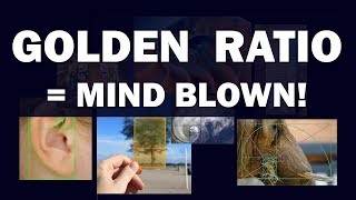 Golden Ratio  Mind Blown [upl. by Flan616]