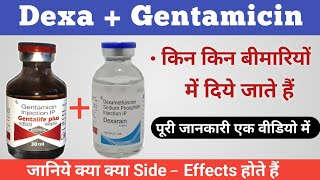 gentamicin dexamethasone injection uses genta dexa injection uses in hindi  LEARNABOUTMEDICINE [upl. by Asilram]