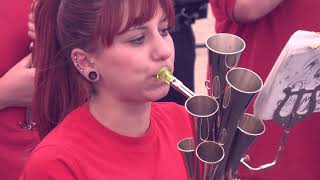 Schalmeienkapelle der FFW Malchin 7 Musikfest Teterow 2018 [upl. by Wallache]