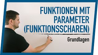 Funktionen mit Parameter Funktionsscharen Grundlagen  Mathe by Daniel Jung [upl. by Eatnoid162]