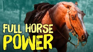 Red Dead Redemption 2 Horses  Everything You Need To Know [upl. by Gonsalve]