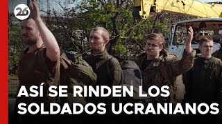 GUERRA RUSIA  UCRANIA  Así se rinden soldados ucranianos [upl. by Ardene910]