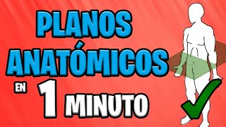 ✅ PLANOS ANATÓMICOS en 1 MINUTO 😱 [upl. by Nylirrehs57]