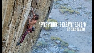 CHRIS SHARMA ON quotEVERYTHING IS KARATEquot 514 CD [upl. by Arnst623]