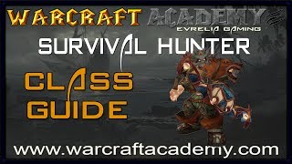 54 Survival Hunter DPS Guide  Warcraft Academy [upl. by Ramraj]