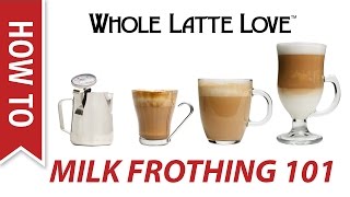 Milk Frothing for Beginners [upl. by Onaivatco]