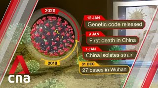 A timeline of COVID19s discovery and global spread [upl. by Romano297]