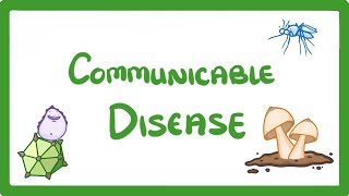 GCSE Biology  Communicable Disease 34 [upl. by Skylar]