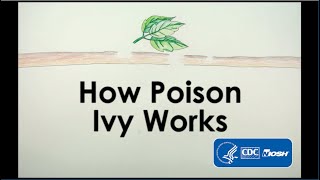 How Poison Ivy Works [upl. by Perot426]