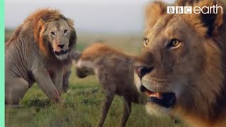 ONE HOUR of Amazing Animal Moments  BBC Earth [upl. by Vittorio]