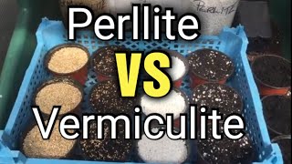 Perlite vs Vermiculite Whats the difference amp which to choose [upl. by Witte696]