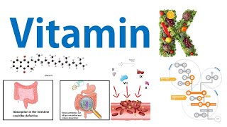 Vitamin K and blood clotting [upl. by Eustashe]