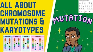 How Do We Analyze Chromosome Mutations amp Karyotypes [upl. by Akinoj]