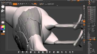 bird feather modelling zbrush [upl. by Karlens]