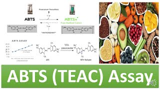 ABTS TEAC  TroloxEquivalent Antioxidant Capacity Assay  Principle Advantages amp Limitations [upl. by Kcirdle]