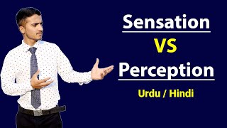 Difference Between Sensation amp Perception  Urdu  Hindi [upl. by Brittne]