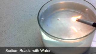 Alkali Metals React with Water [upl. by Ahselak]