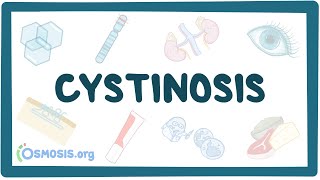 Cystinosis  causes symptoms diagnosis treatment pathology [upl. by Knute]