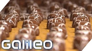 Herstellung der MiniPraline  Galileo  ProSieben [upl. by Eilesor]