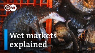 Will the coronavirus pandemic force China to close wildlife markets  DW News [upl. by Lerrej]