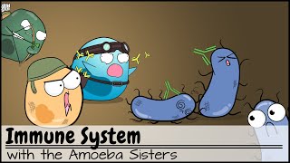 Immune System [upl. by Heyward424]