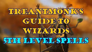 Treantmonks Guide to Wizards 5th level spells [upl. by Sadiras]