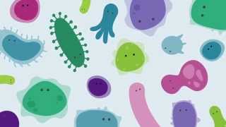 Introducing The Human Gut Microbiome [upl. by Airda]