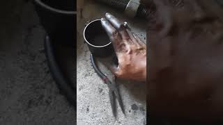 How to install snap ring diy no special pliers [upl. by Adnuhsal]