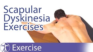 Best Scapular Dyskinesis  Dyskinesia Exercises [upl. by Karissa]