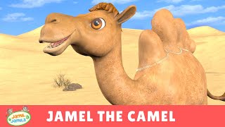 Jamel the Camel  Jamil and Jamila Songs for Kids [upl. by Ardene]