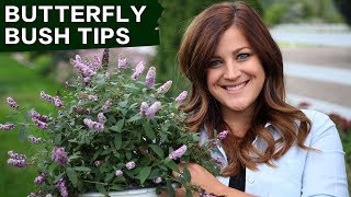 Butterfly Bush Care Tips  Garden Answer [upl. by Ahsaetal]