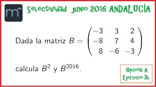 Potencias de matrices [upl. by Annaira]