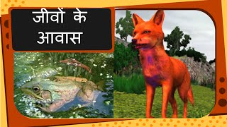 Science  Types of Animal Habitat  Hindi [upl. by Ednutey755]