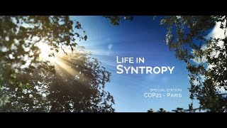 Life in Syntropy [upl. by Lansing]