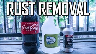 What Is The Best OR Worst Rust Remover Coca Cola White Vinegar or Loctite [upl. by Whipple173]