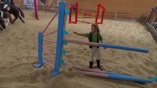 Cours schleich obstacle pour les Galops 6 sport etude [upl. by Enram]