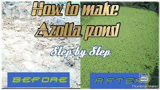 How to make Azolla Pond ll Step by step [upl. by Annoda60]